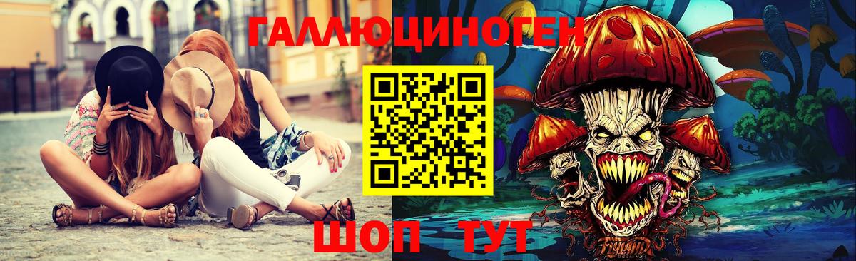 Псилоцибиновые грибы Psilocybe Богданович